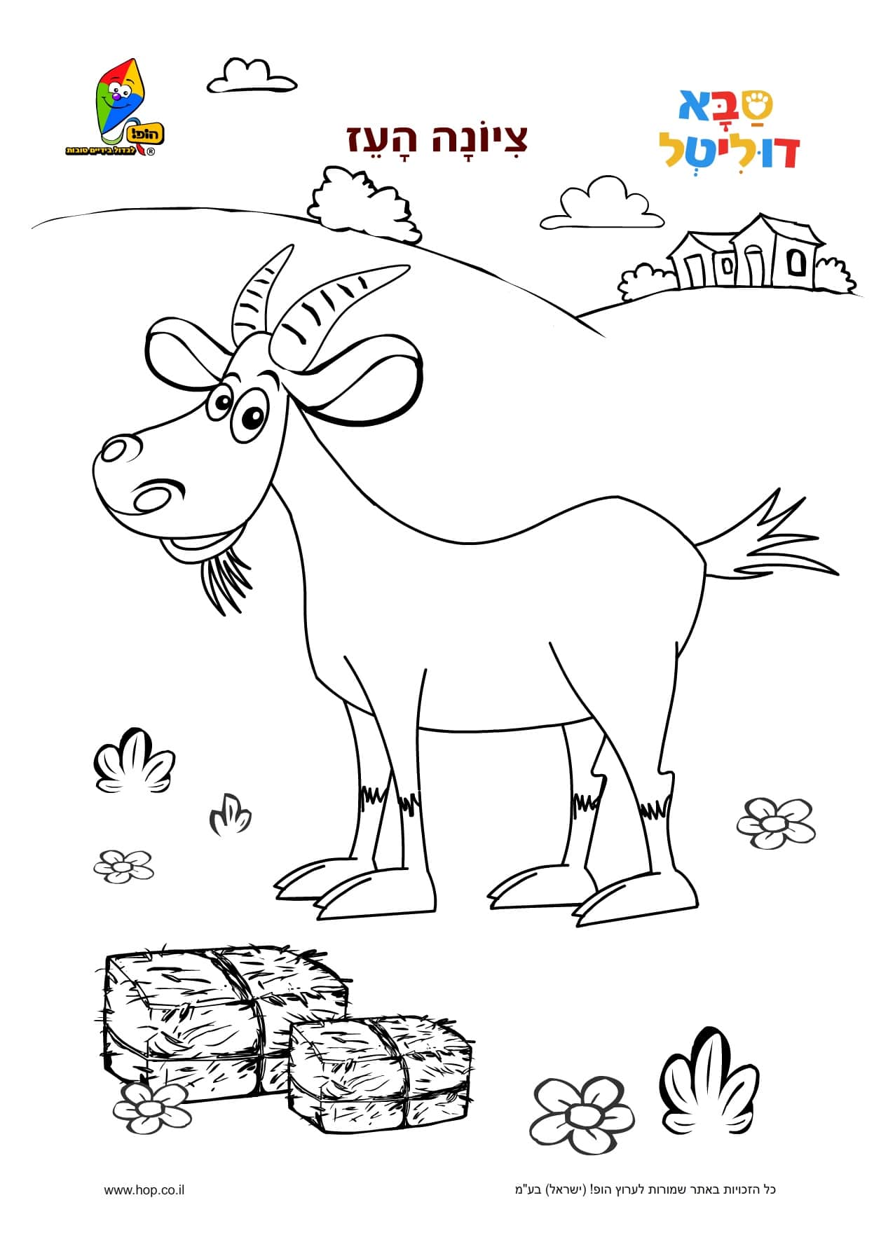 דף צביעה – ציונה העז