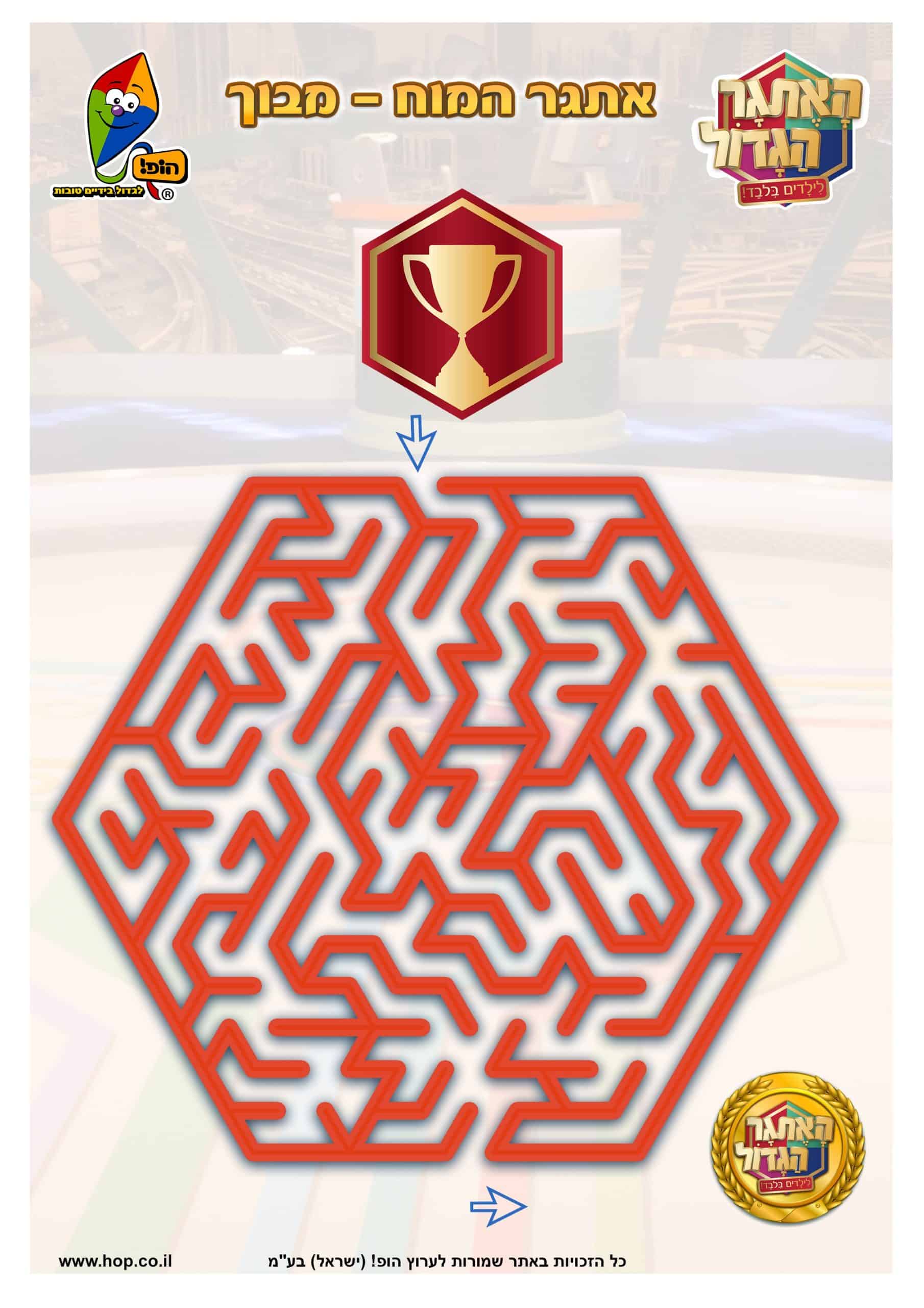 אתגר המוח – מבוך איש הקקטוס