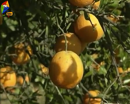 איזה יום שמח
