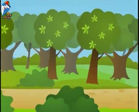 שירי מרים ילן שטקליס – הגברת שפנפנה