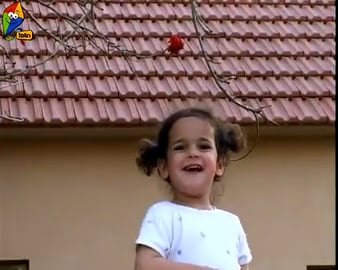 אדוני ראש העיר